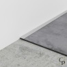 AL16X2 — Plata EV1